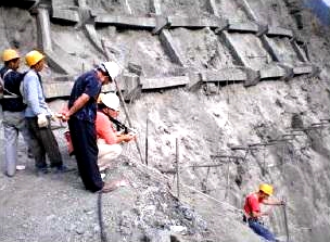 ߅�������O�y���w��Q����